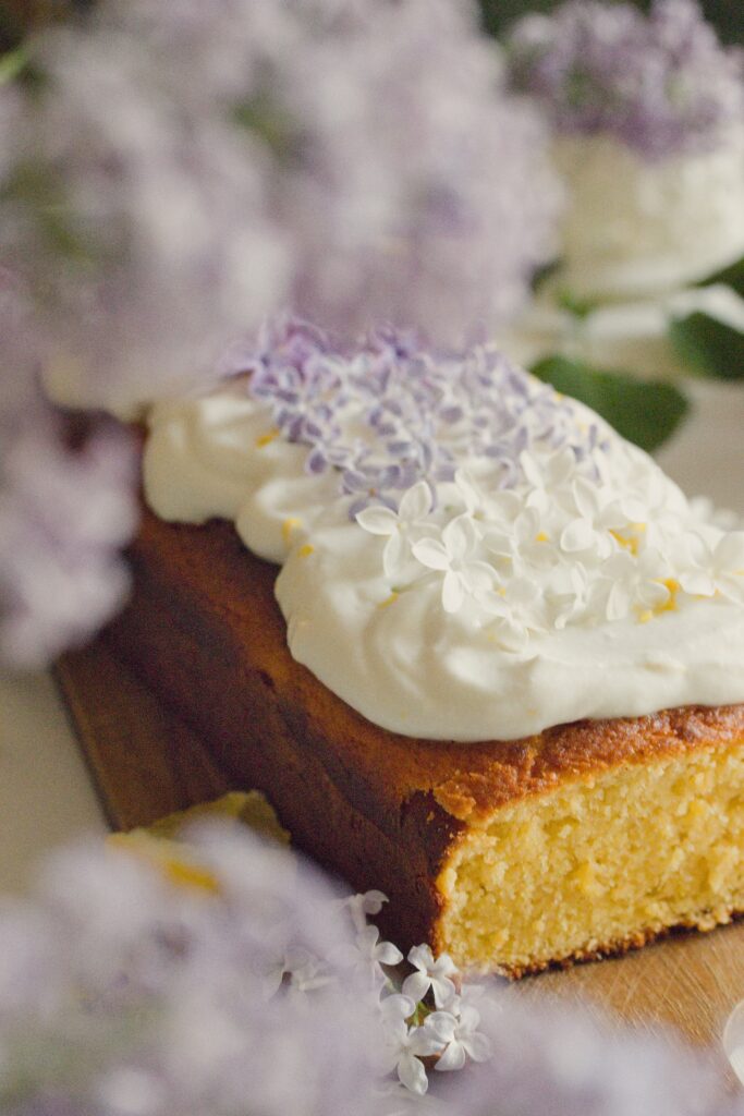 Citronový chlebíček z celých citronů se šlehanou ricottou a šeříkem